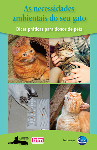 As necessidades ambientais do seu gato: Dicas pr谩ticas para donos de pets