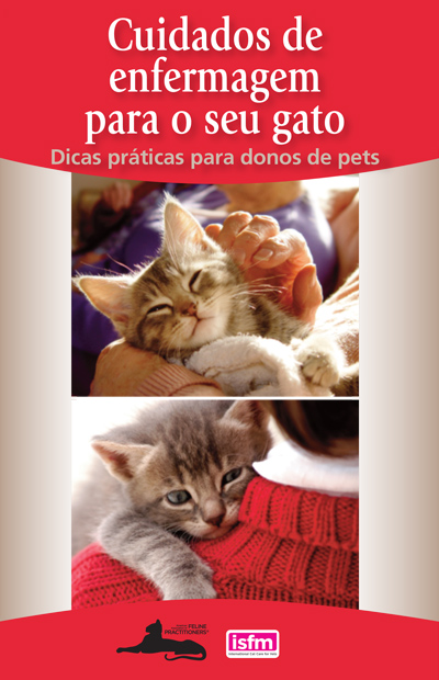 Cuidados de enfermagem para o seu gato: Dicas pr谩ticas para donos de pets