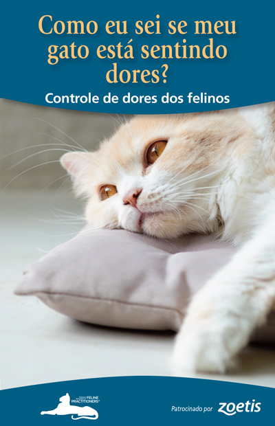 Como eu sei se meu gato est谩 sentindo dores? Controle de dores dos felinos
